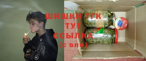 мет Новозыбков