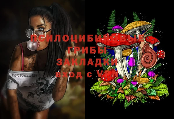 mdma Новодвинск