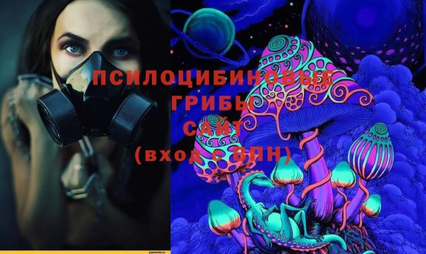 мет Новозыбков
