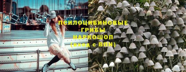 ПСИЛОЦИБИНОВЫЕ ГРИБЫ Новокубанск