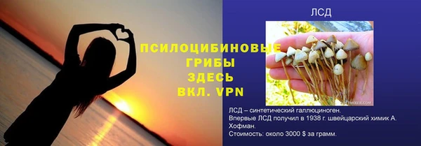 ПСИЛОЦИБИНОВЫЕ ГРИБЫ Новокубанск