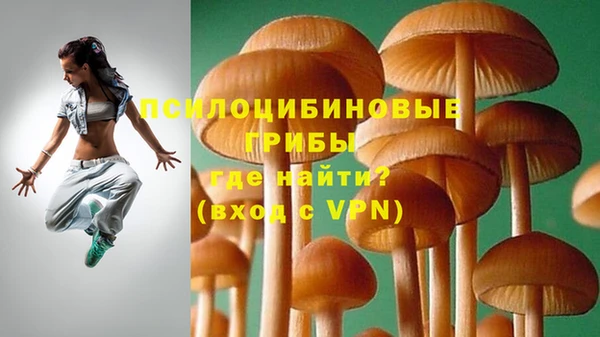 ПСИЛОЦИБИНОВЫЕ ГРИБЫ Новокубанск