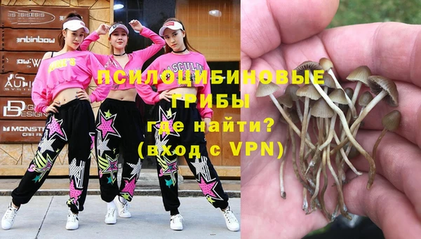 мет Новозыбков